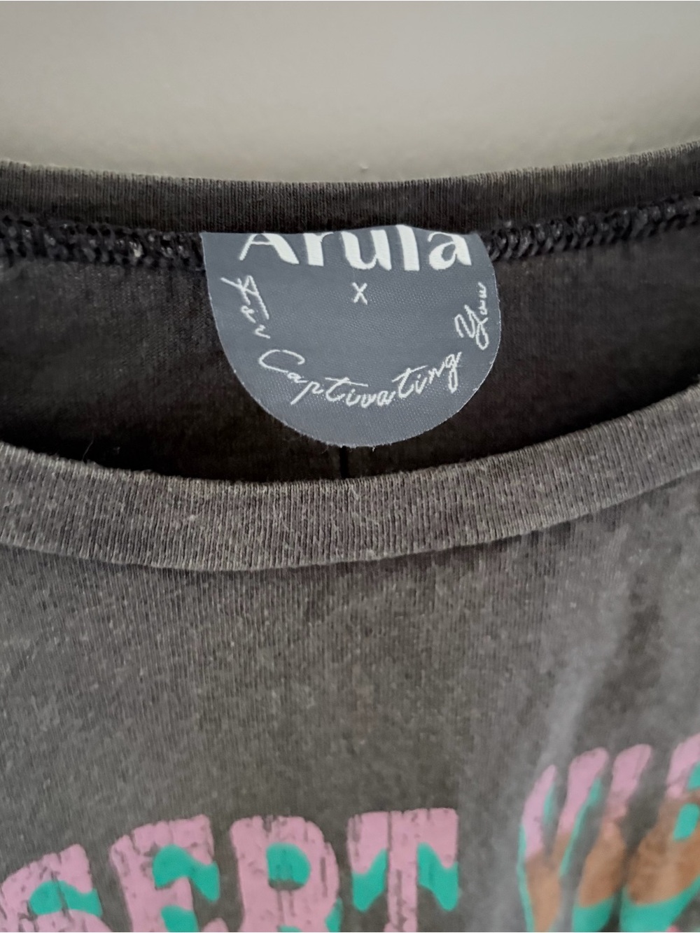 Arula Desert Vibes Cropped Graphic Tee Size X Gray Boho Western - Picture 3 of 7